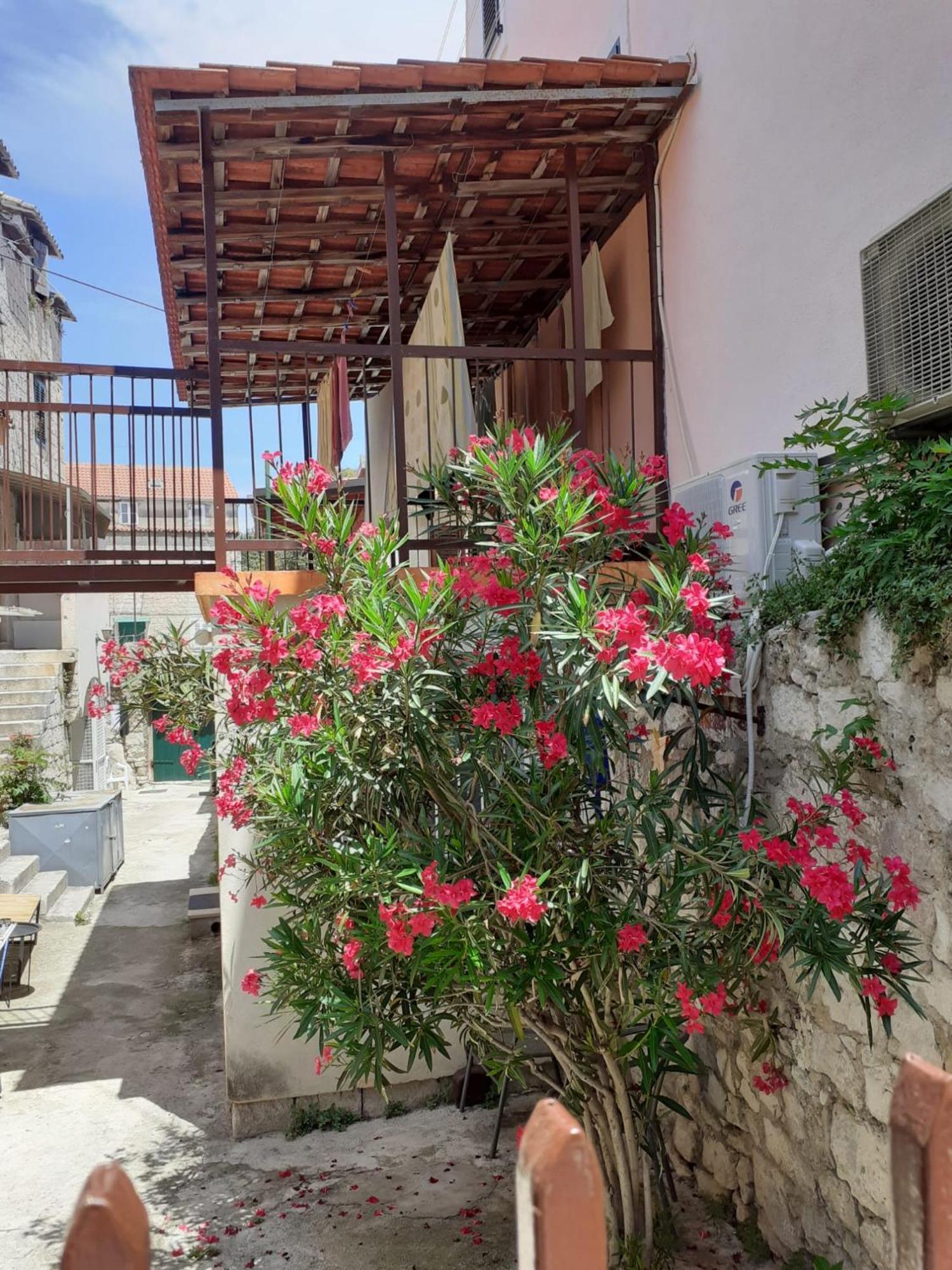 Oleander Apartments 스플리트 외부 사진